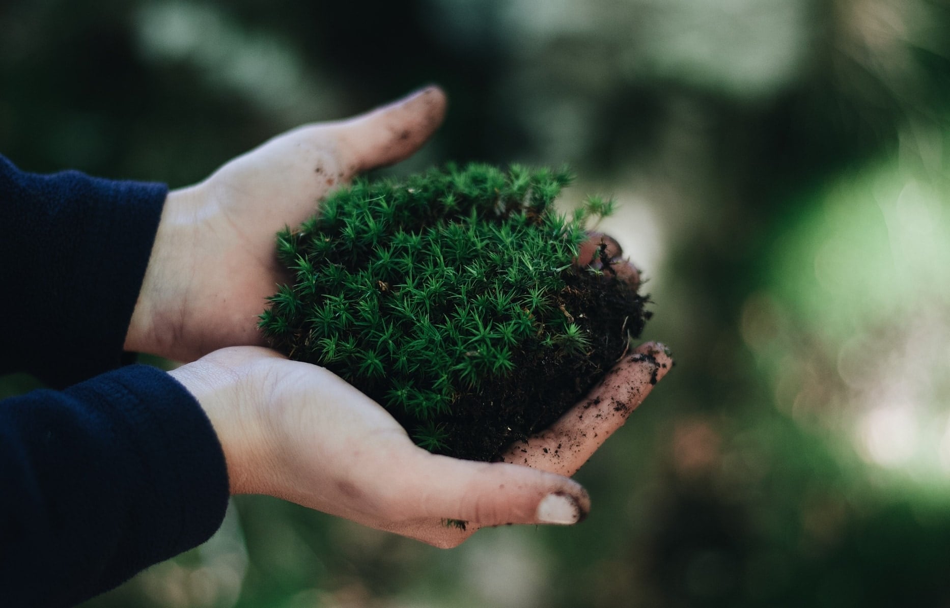 Sustainability Marketing