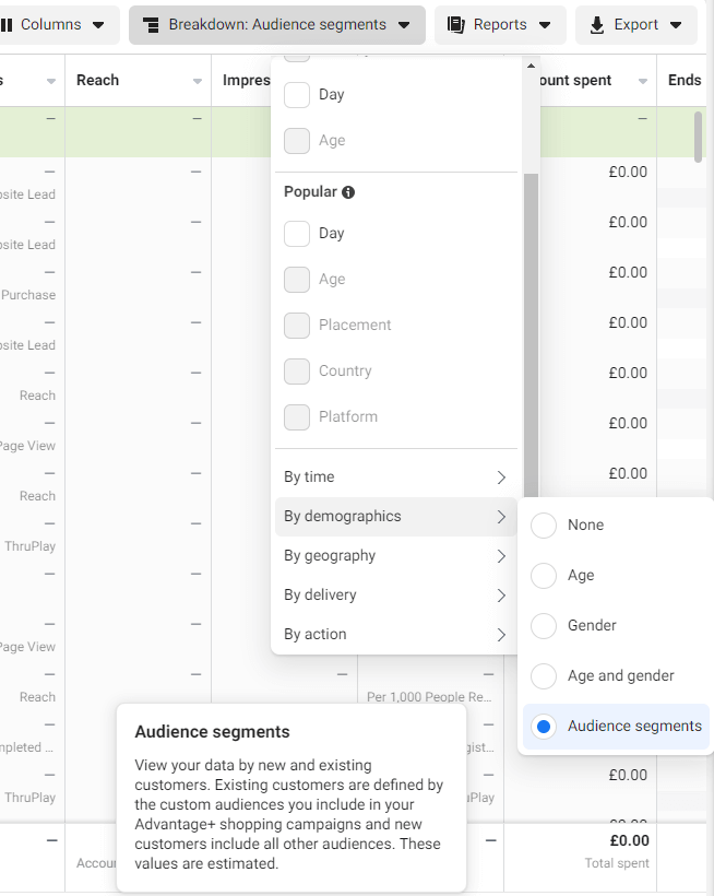 Audience Segmentation in Facebook Ads Manager